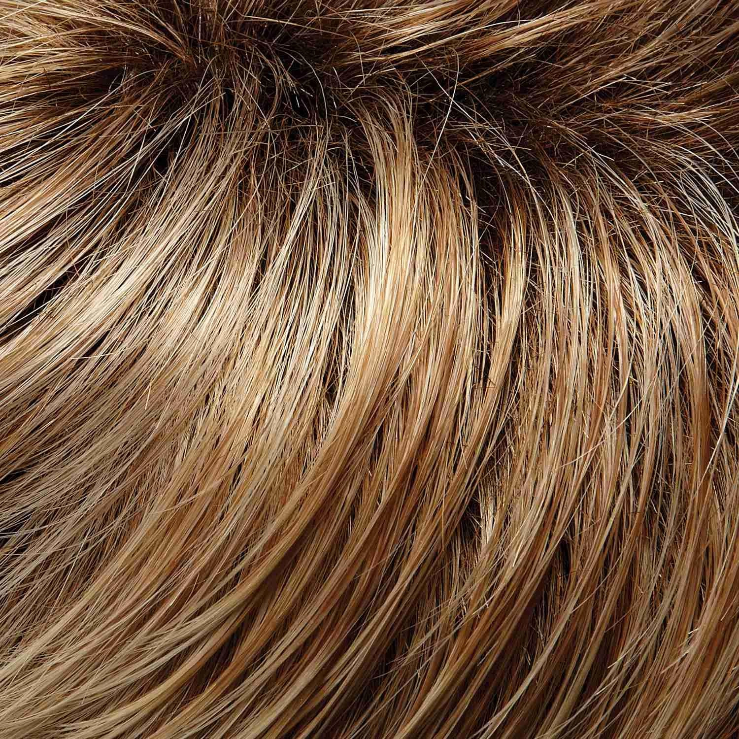 Cameron Wig by Jon Renau | Synthetic (Lace Front 100% Hand Tied Mono Top)