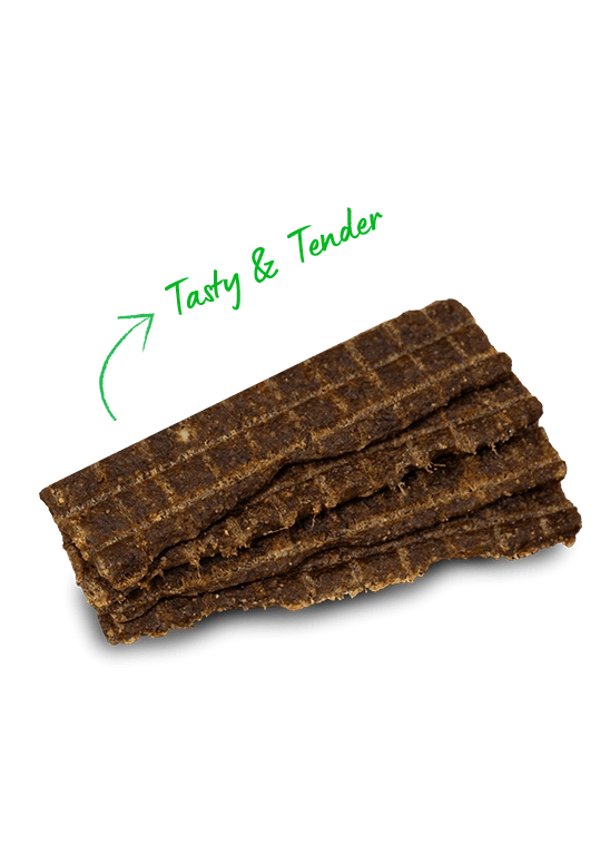 Open Farm Grain Free Jerky Strips Grass-Fed Beef Dog Treats